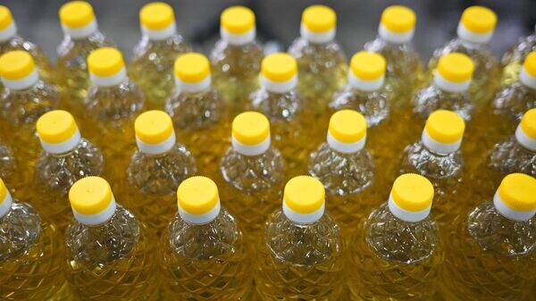    © Sputnik / Александр Кряжев