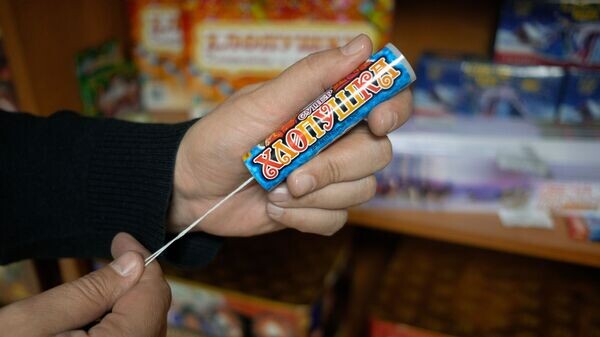    © Sputnik / Николай Хижняк