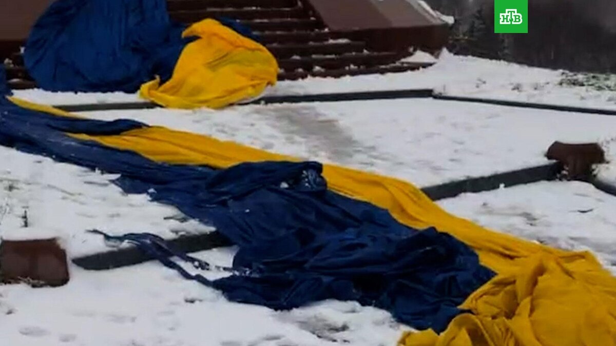    Фото: соцсети