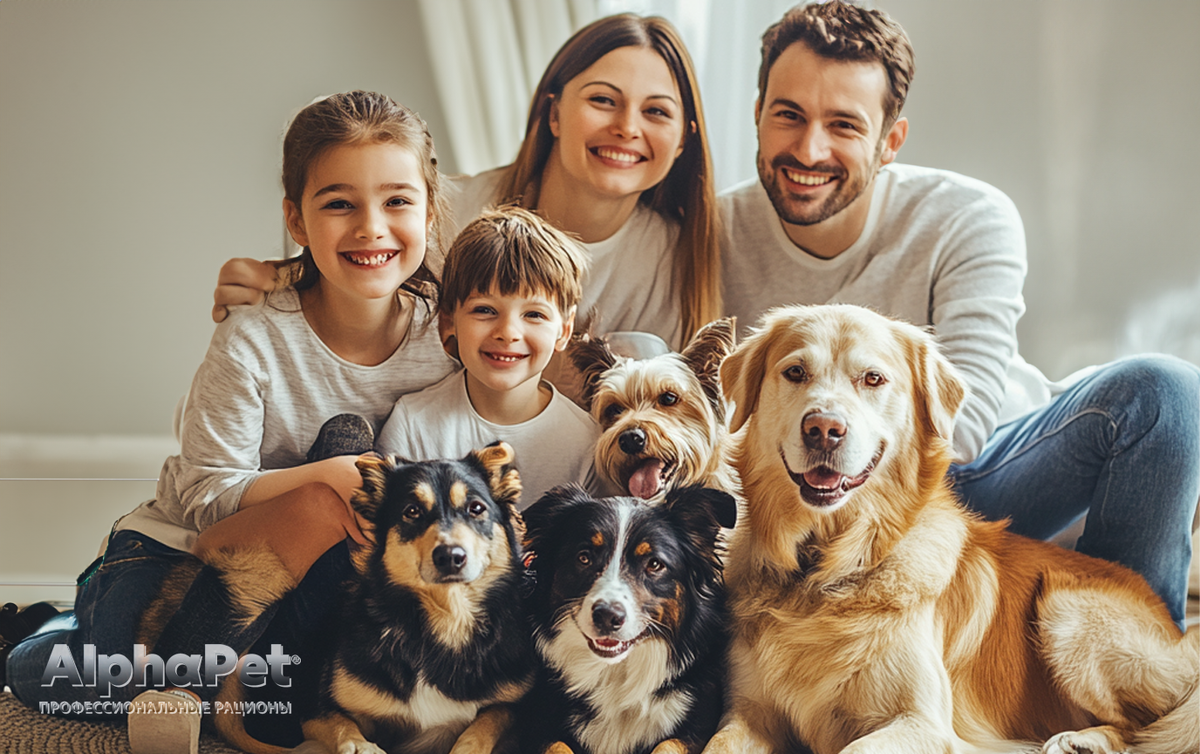 10 основных причин, почему люди не хотят заводить собаку и аргументы для того, чтобы завести / Изображение: AlphaPet