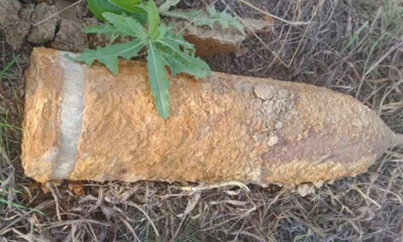    Фото t.me/rosgvard_krasnodar