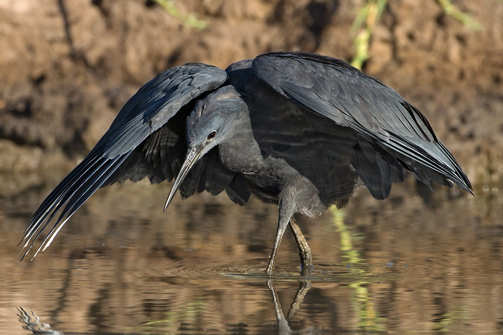 Фото взято из открытого источника Яндекс Картинки.