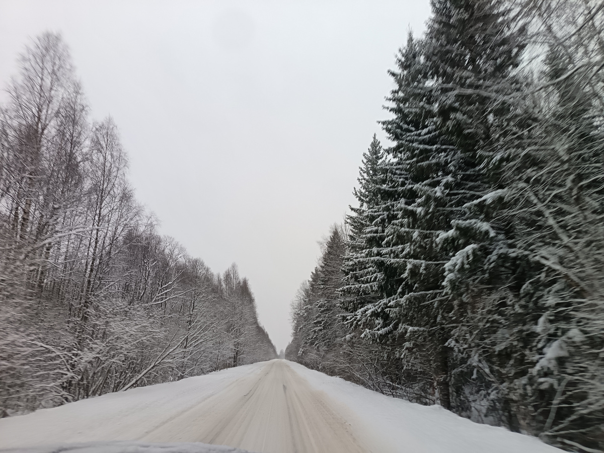 Наша зима 2024