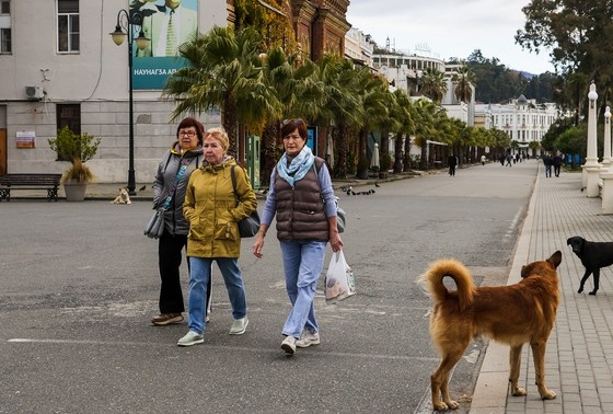    Виды Сухума. Женщины и собаки на набережной