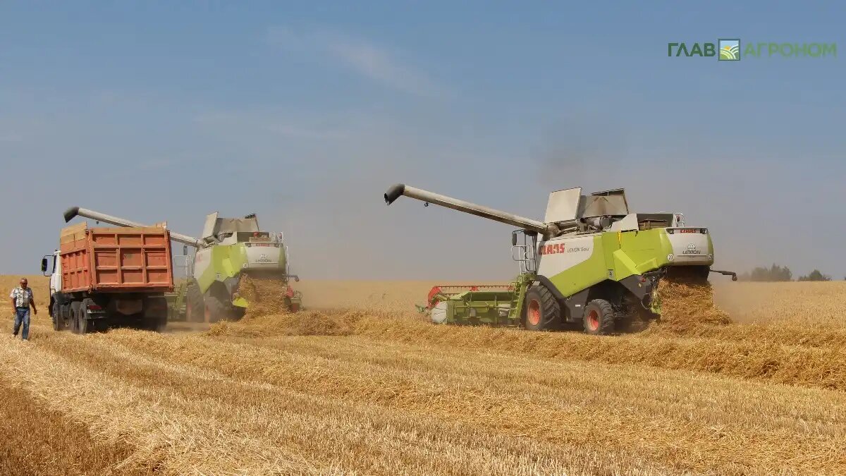 Фото:© Владимир Исаенко / Glavagronom.ru Русагротранс предупредил о напряжении на мировом рынке зерна
