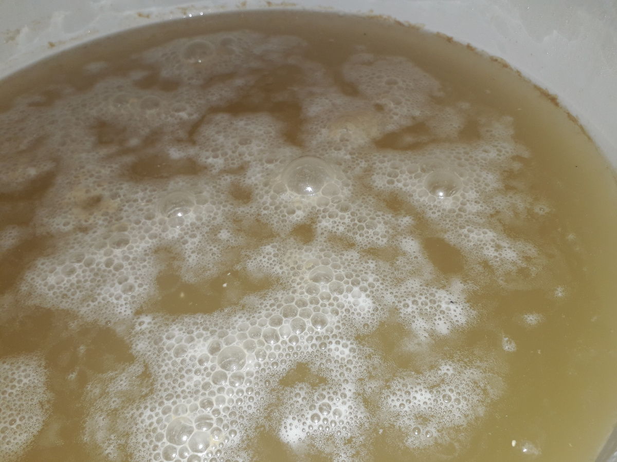 80 часов после внесения дрожжей