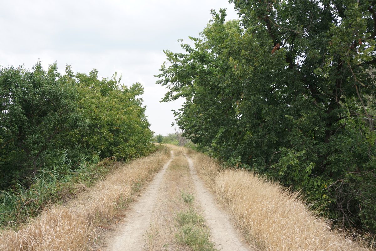 Верхняя тропинка на дамбе на "Кавказе"