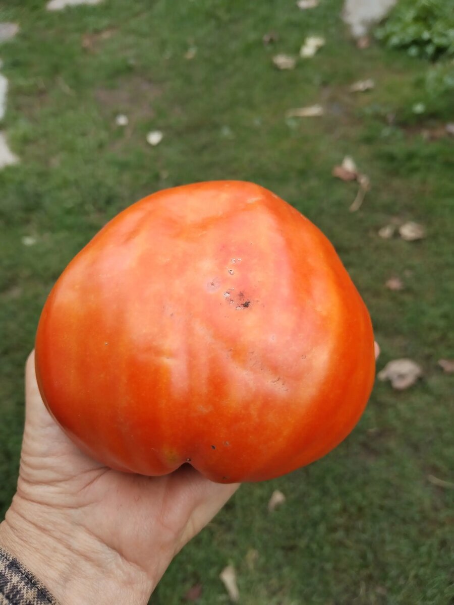 Древнее сердце Акве терме