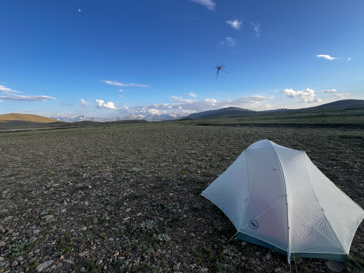 Их так много, что комар даже попал в камеру