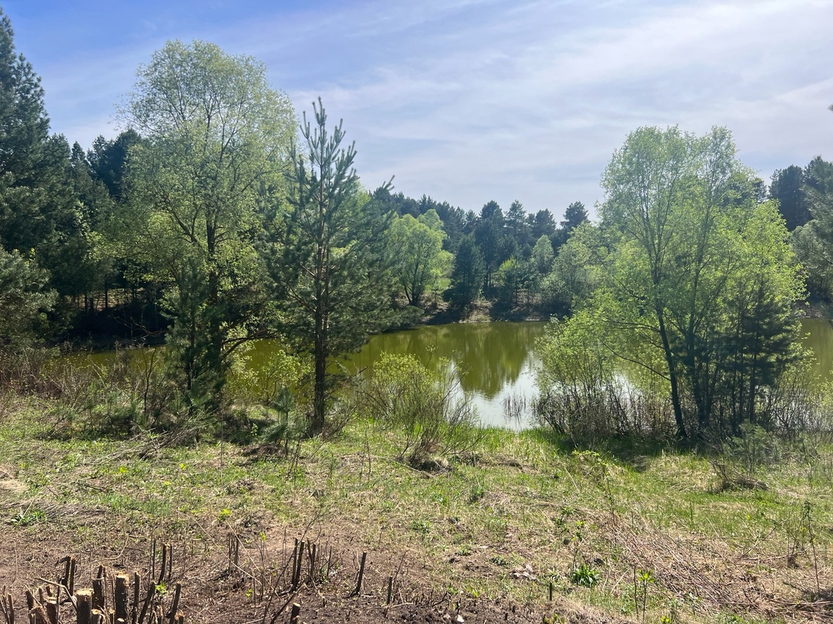 Участок может быть изъят, согласно ЗК РФ