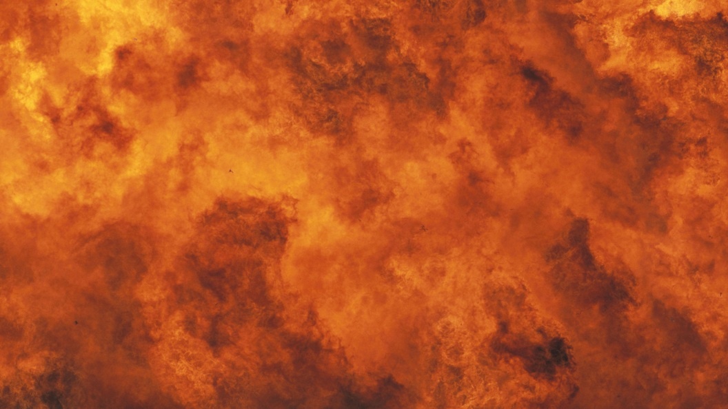    Фото: Arco Images/LaTerraMagica/Globallookpress