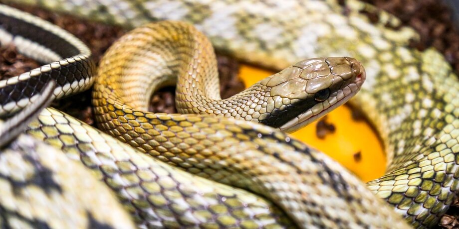 Фото: Москва 24/Лидия Широнина