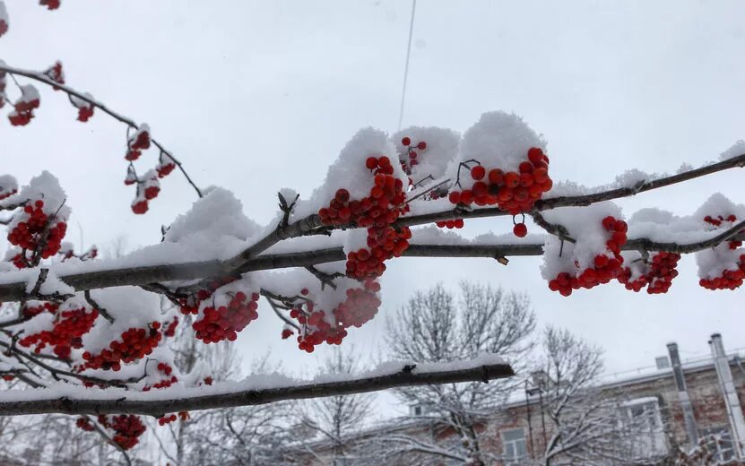    Погода в Ижевске на день: 11 декабря ждем снег и усиление ветра