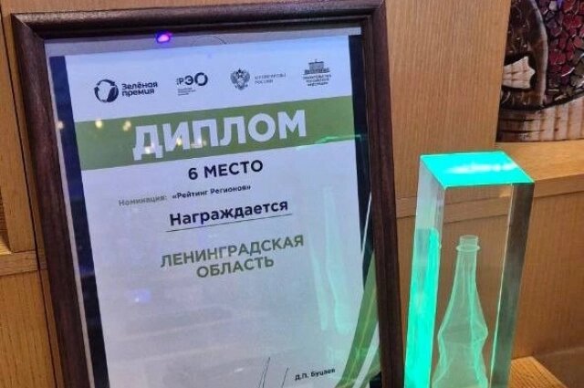    Фото: Telegram-канал губернатора Ленобласти Александра Дрозденко