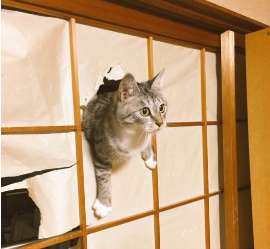 Здравствуйте, у меня для вас посылка!