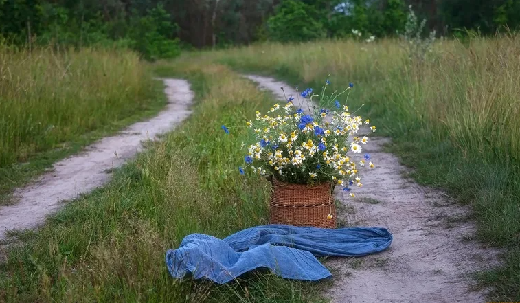 Яндекс картинки