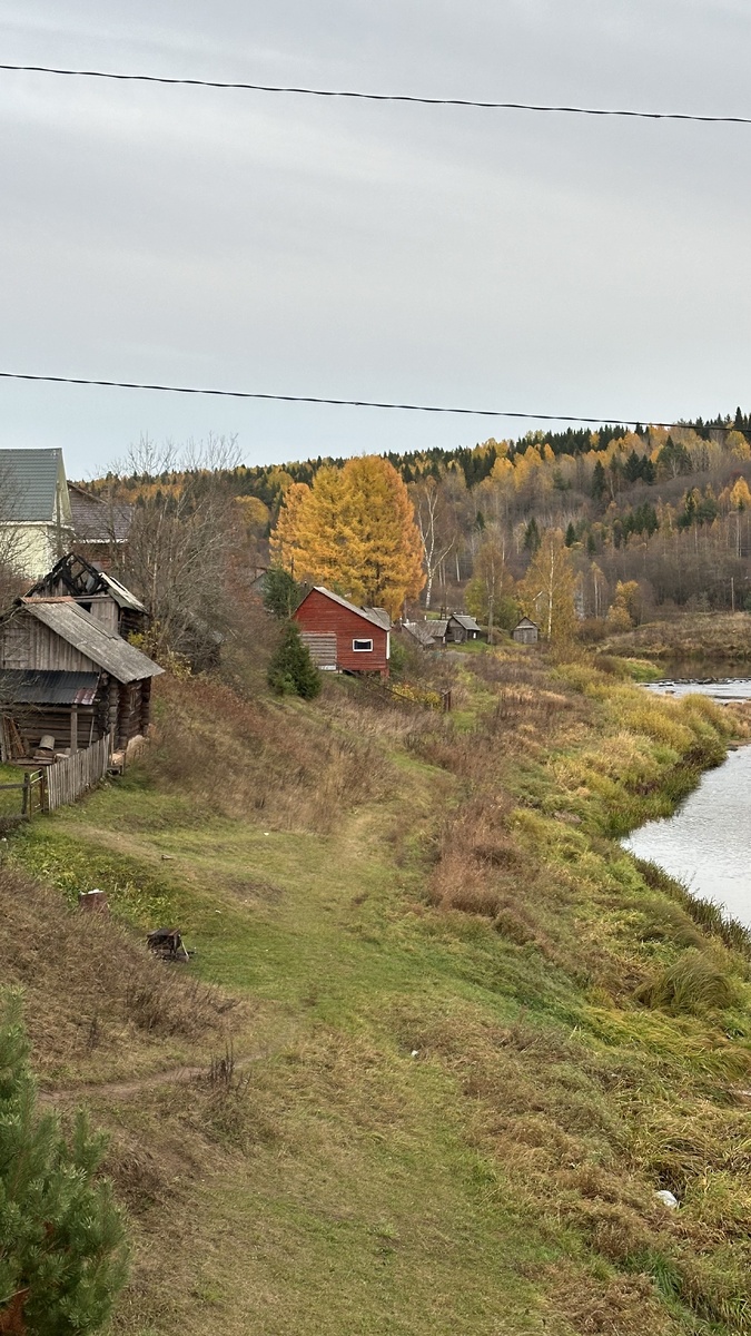 Село Винницы