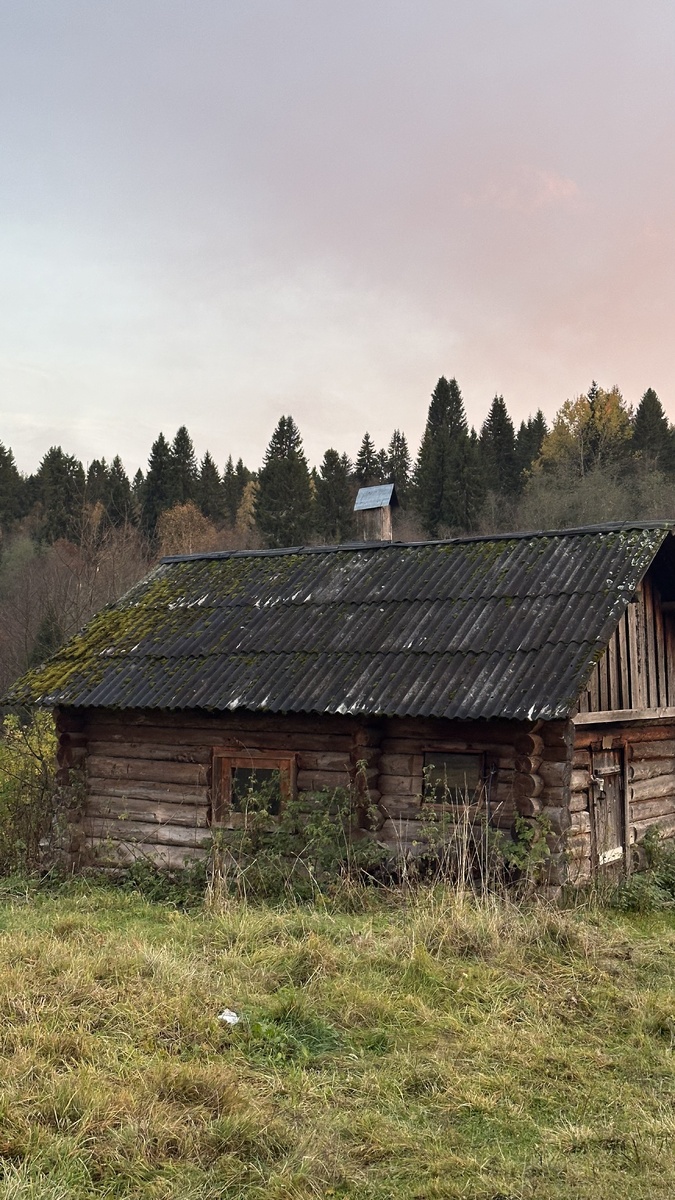 Деревня Ярославичи