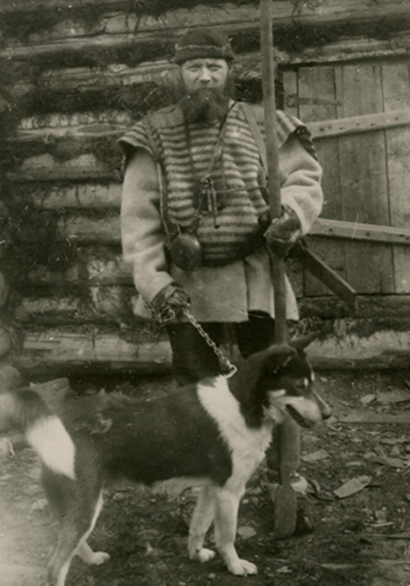 Вот эта полосатая штука - лузан. Фото из открытых источников интернета