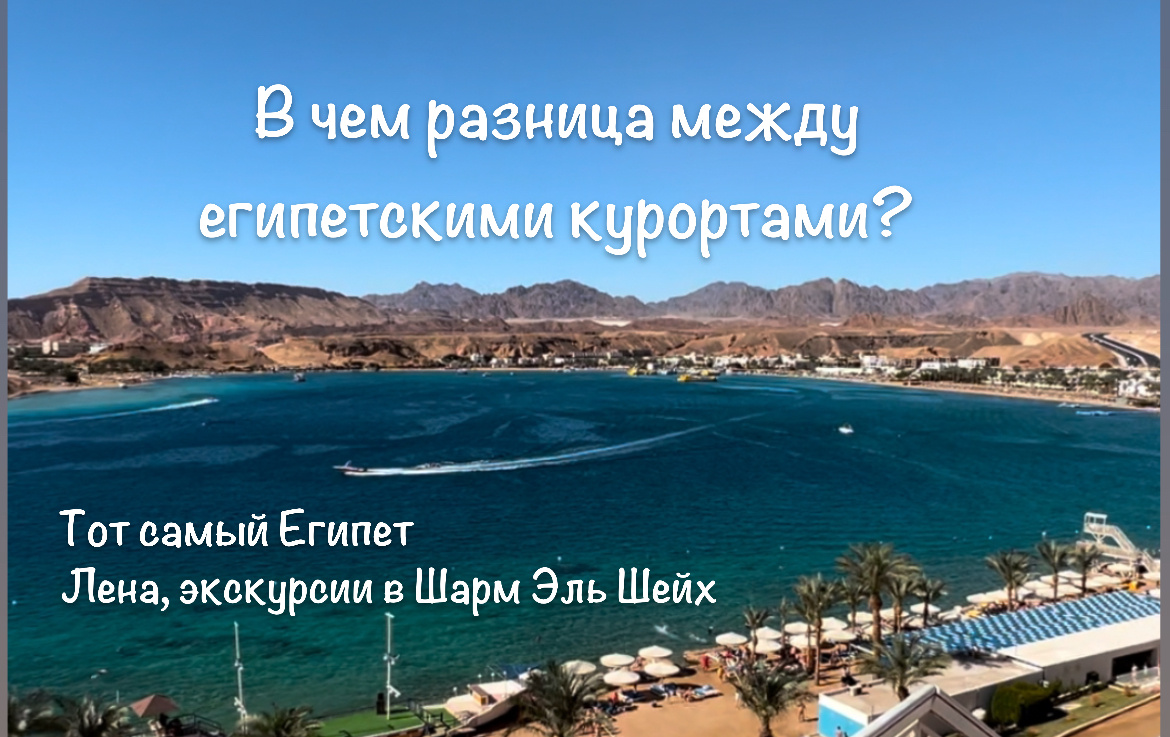 Авторские экскурсии из Шарм Эль Шейх, номер телеграмм +2010241365610