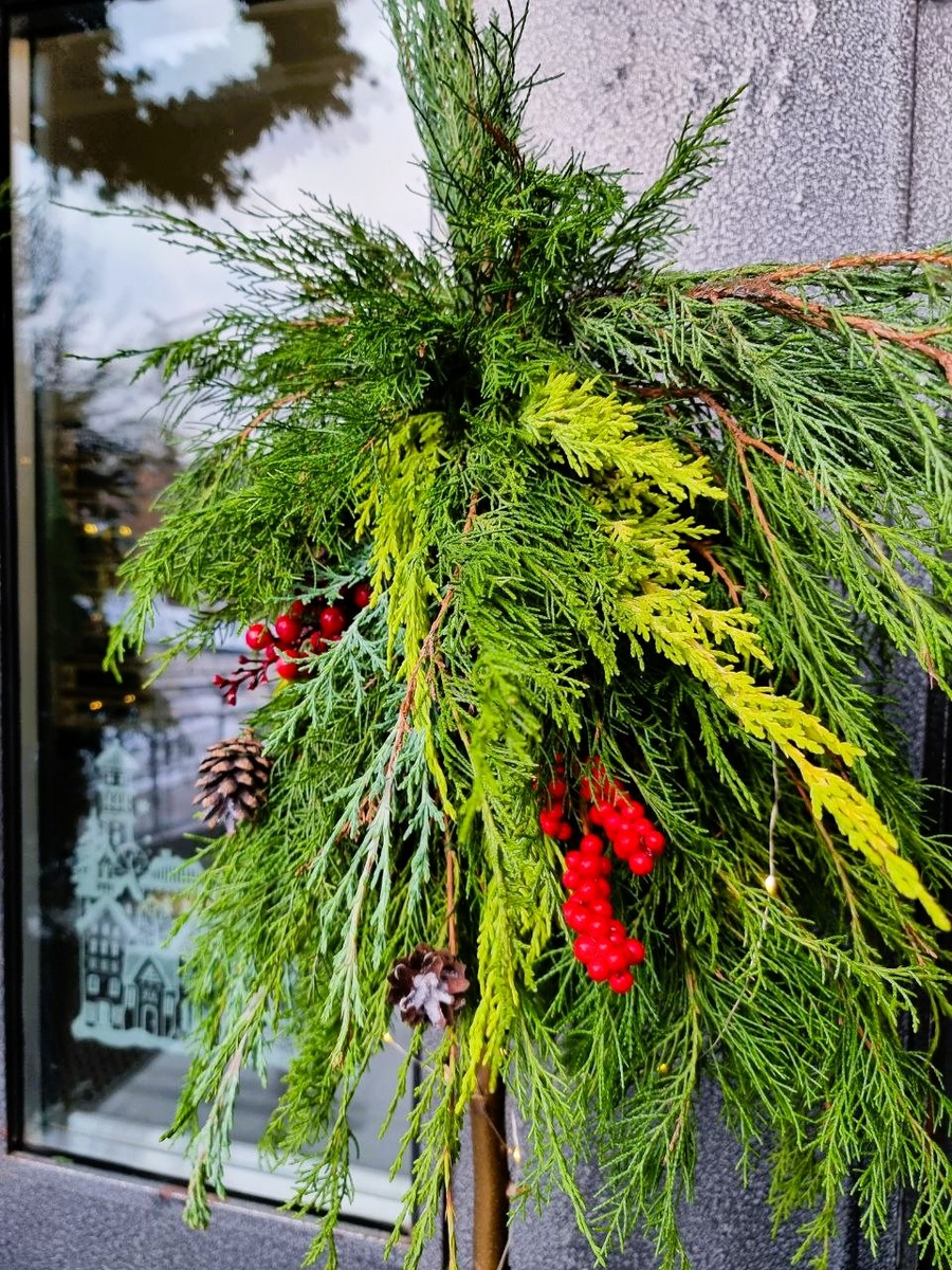 Не то елка, не то пальма. В общем, волшебное дерево. 😀