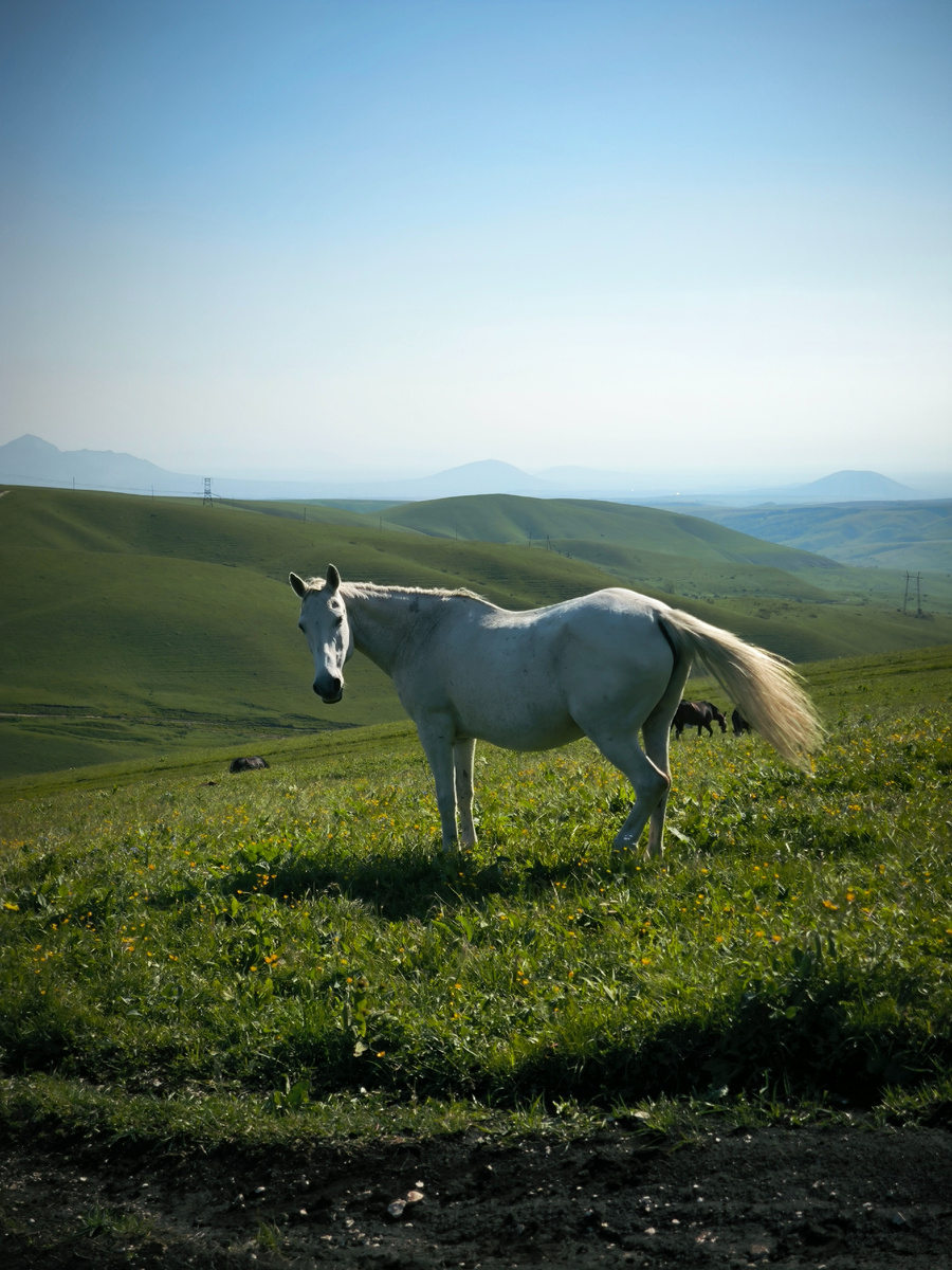 На одном из терренкуров - маршрутов для ходьбы в горах парка Кисловодска. Фото автора 
