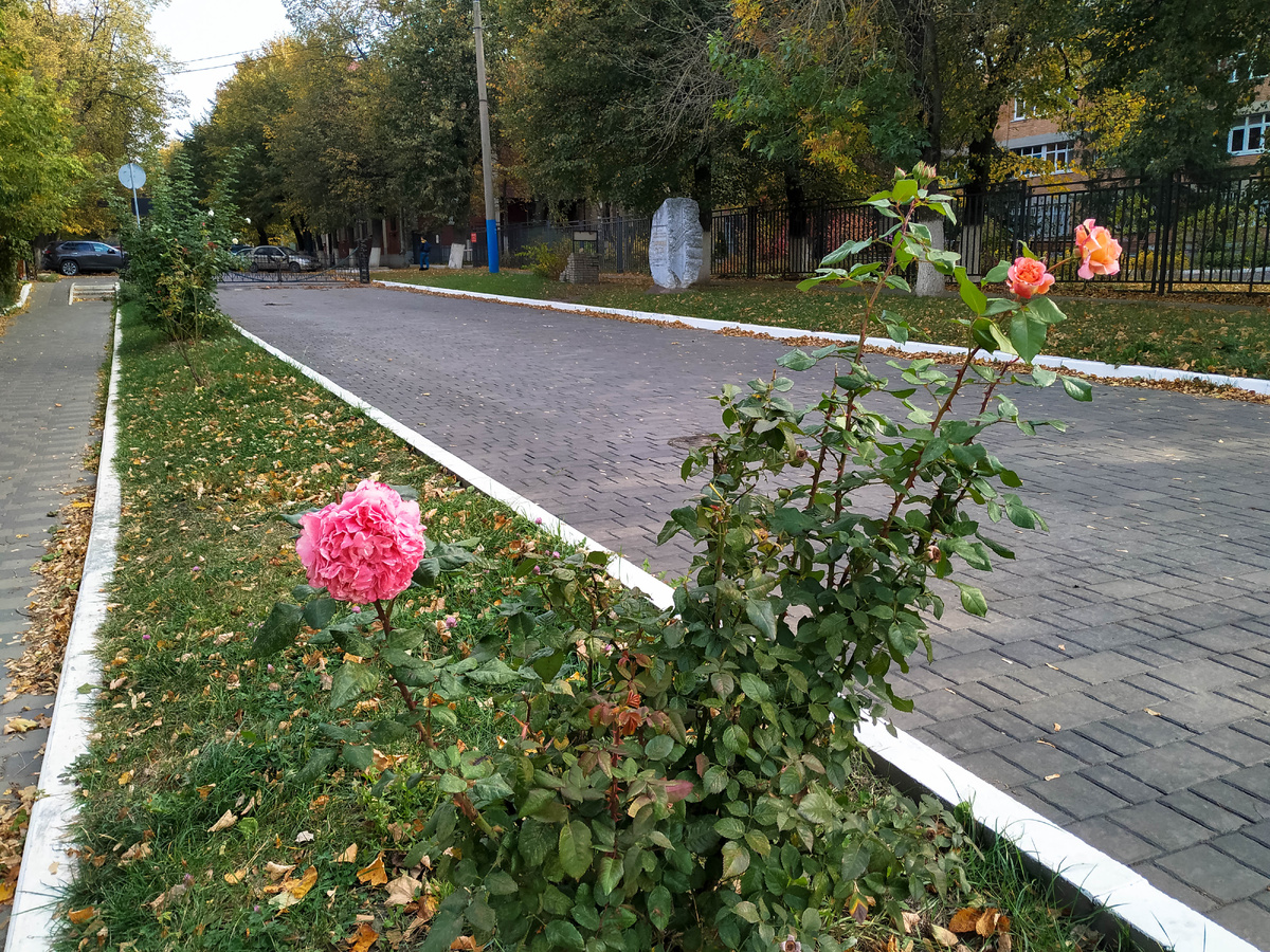 Фото автора