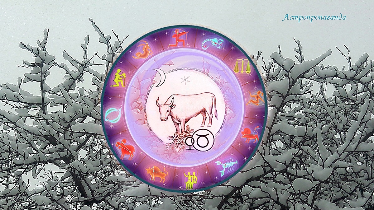 Знак Тельца: гороскоп на декабрь 2024. Гороскоп для Тельца со 2 по 29 декабря 2024. 