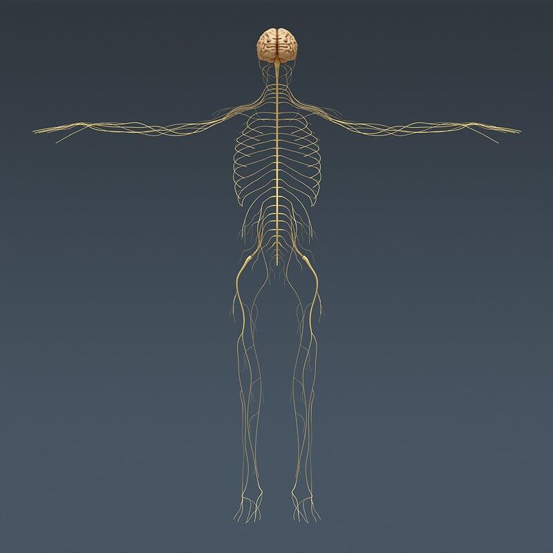 взято  с интернета