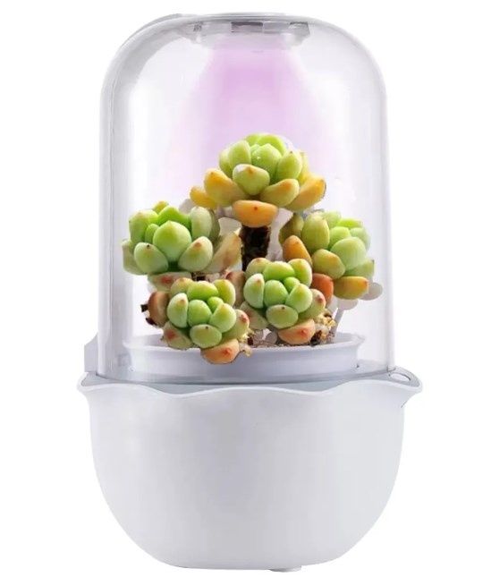 Умная теплица growUp