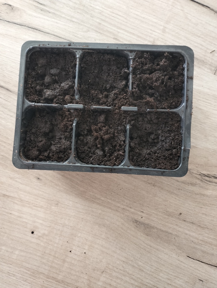 Грунт готов. Фото автора