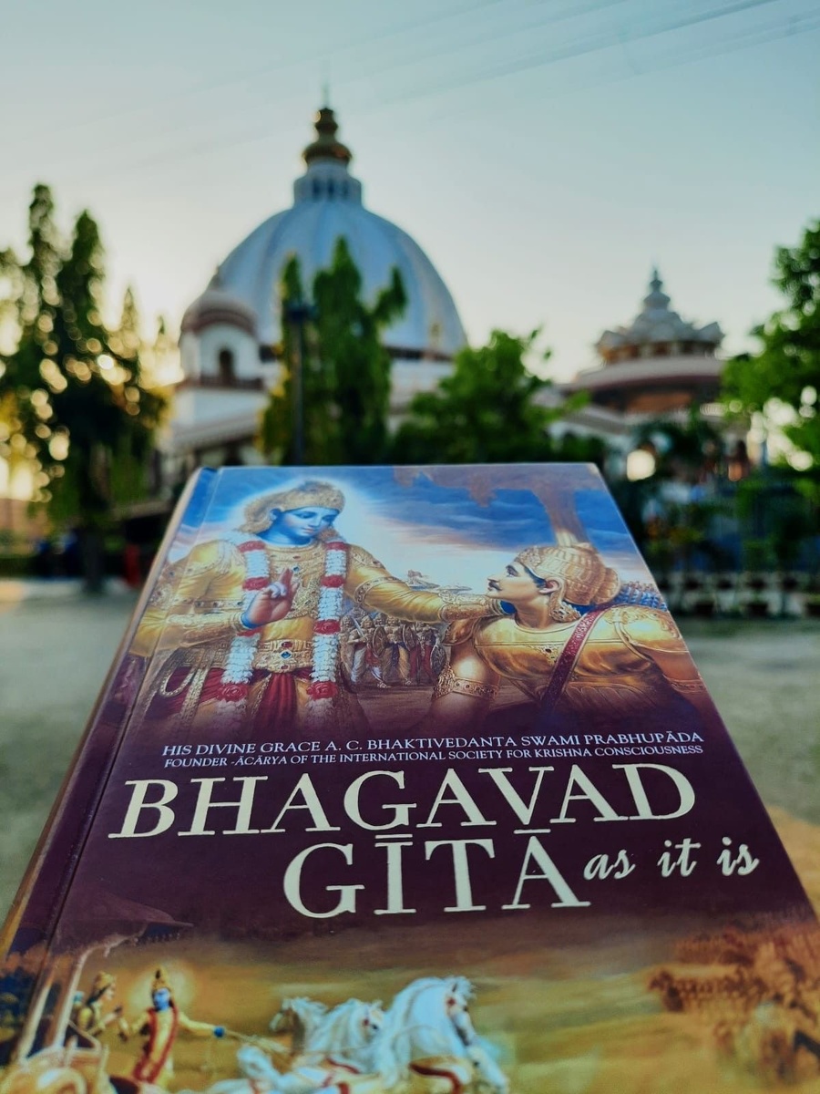 Источник: https://pin.it/6PnaPqhFh