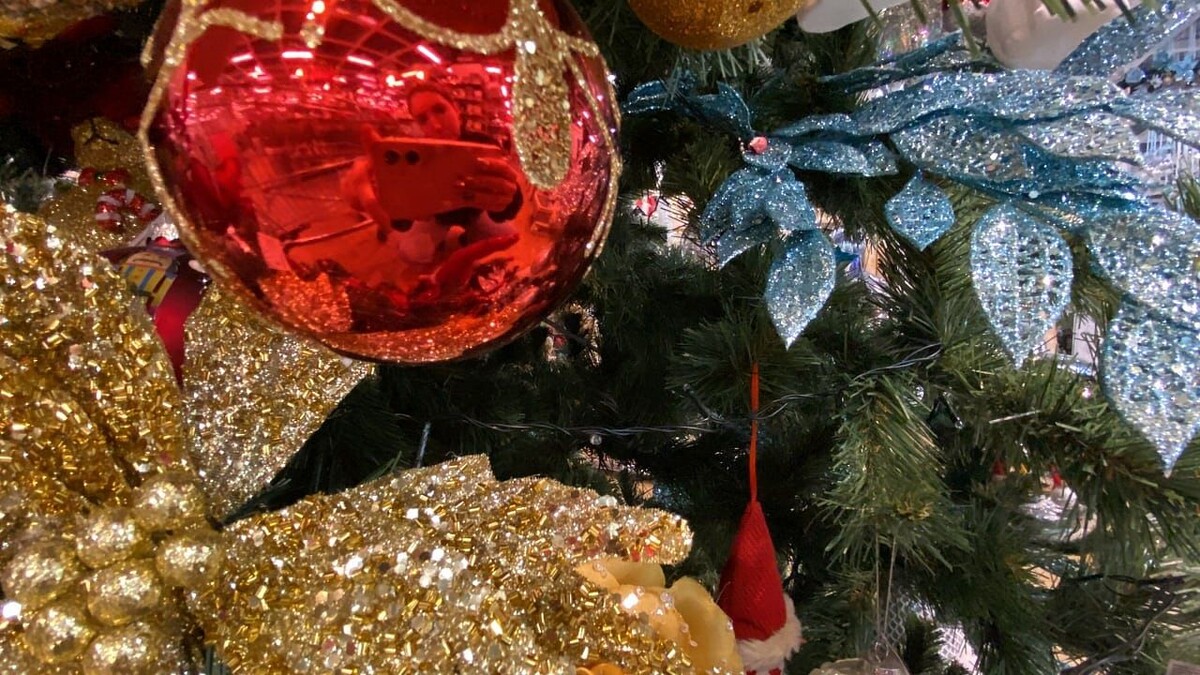    Фото: телеканал «Краснодар»