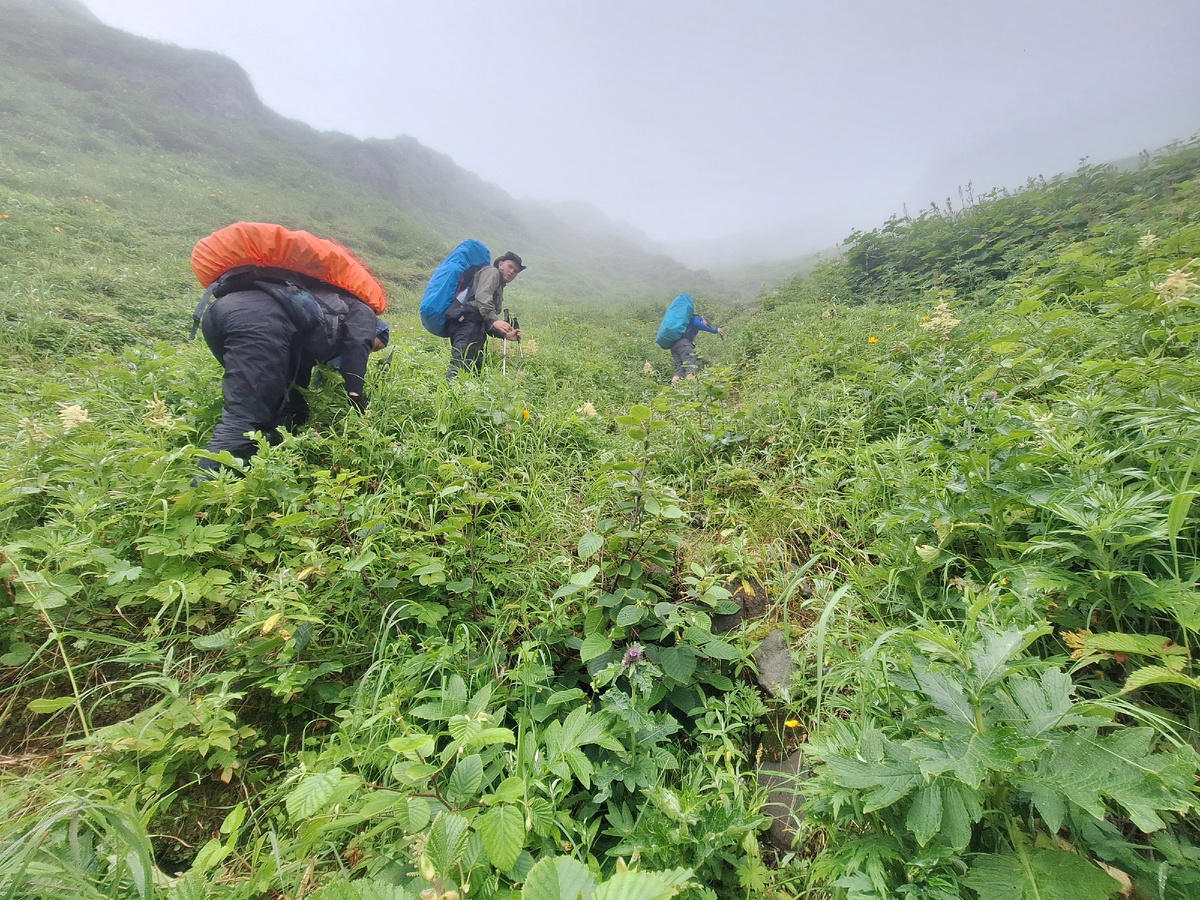 Лезем по кулуару