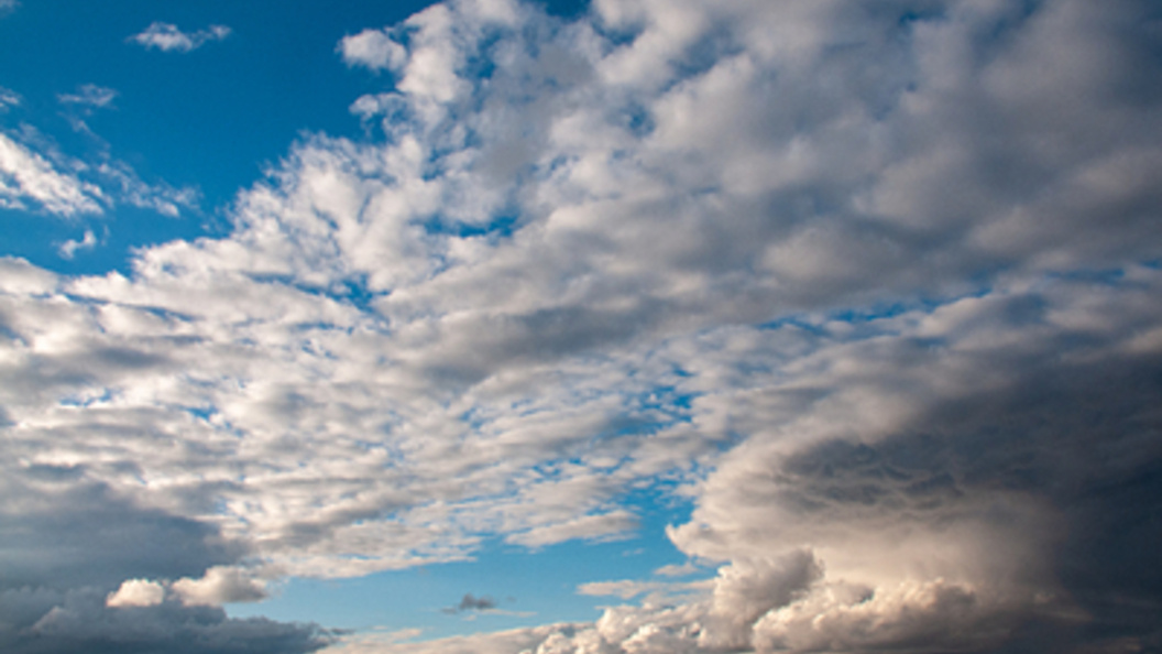    Фото: Svetlana Vozmilova/Globallookpress.