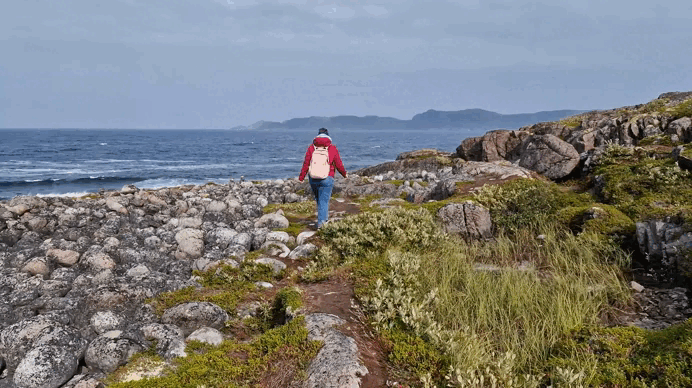 Если анимация не воспроизводится - нажмите