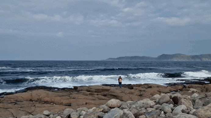 Если анимация не воспроизводится - нажмите