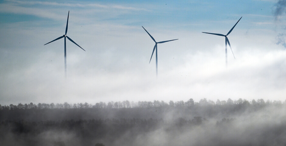 Фото: Federico Gambarini/DPA/Picture-alliance