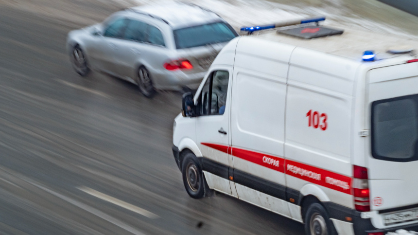    Фото: ИЗВЕСТИЯ/Константин Кокошкин; 5-tv.ru