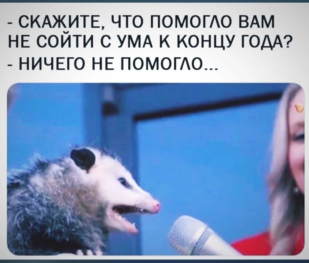 Картинка из интернета 😁