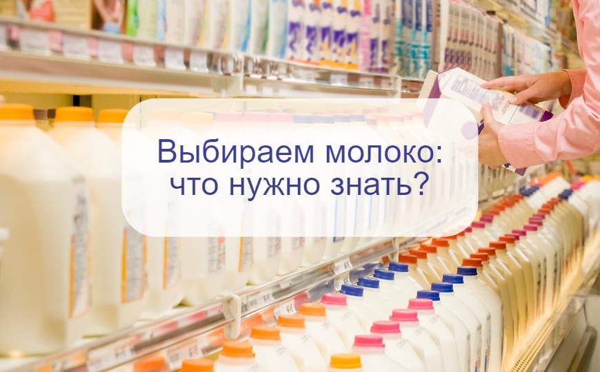 Как выбрать самое качественное молоко в магазине: диетолог рассказала, на что нужно обращать внимание