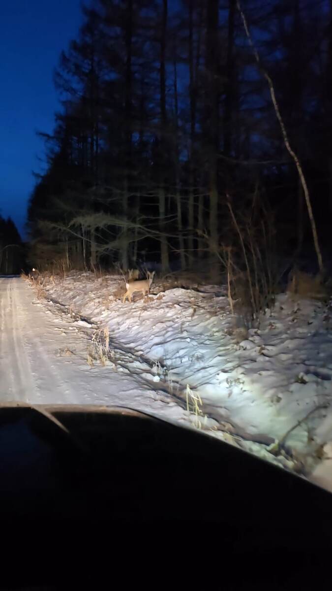 Популяция огромная