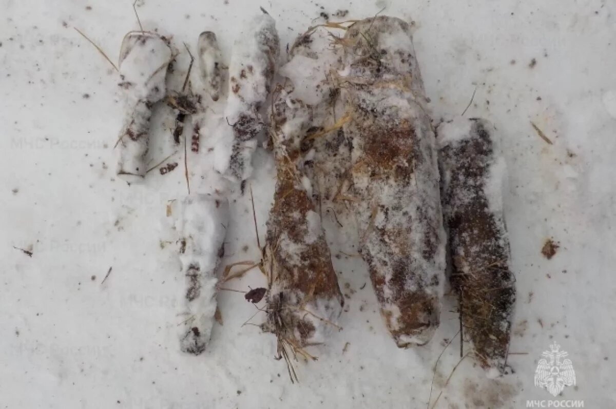    В Тверской области нашли и обезвредили 3 мины и 3 снаряда