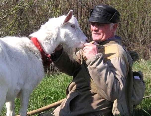 Из свободных источников