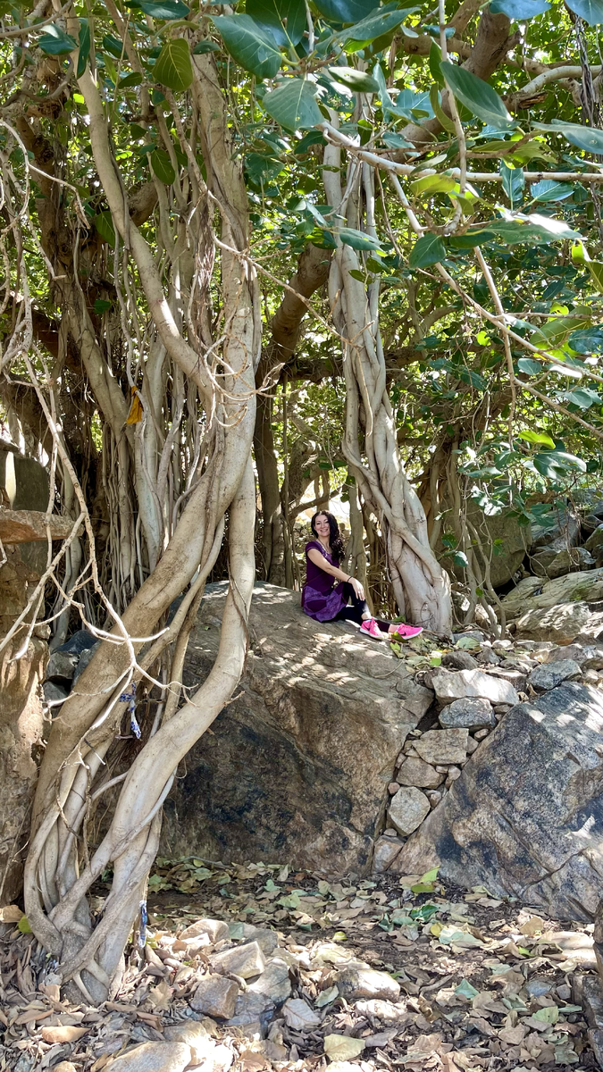 Внушают мощь баньяны и валуны рядом с ашрамом