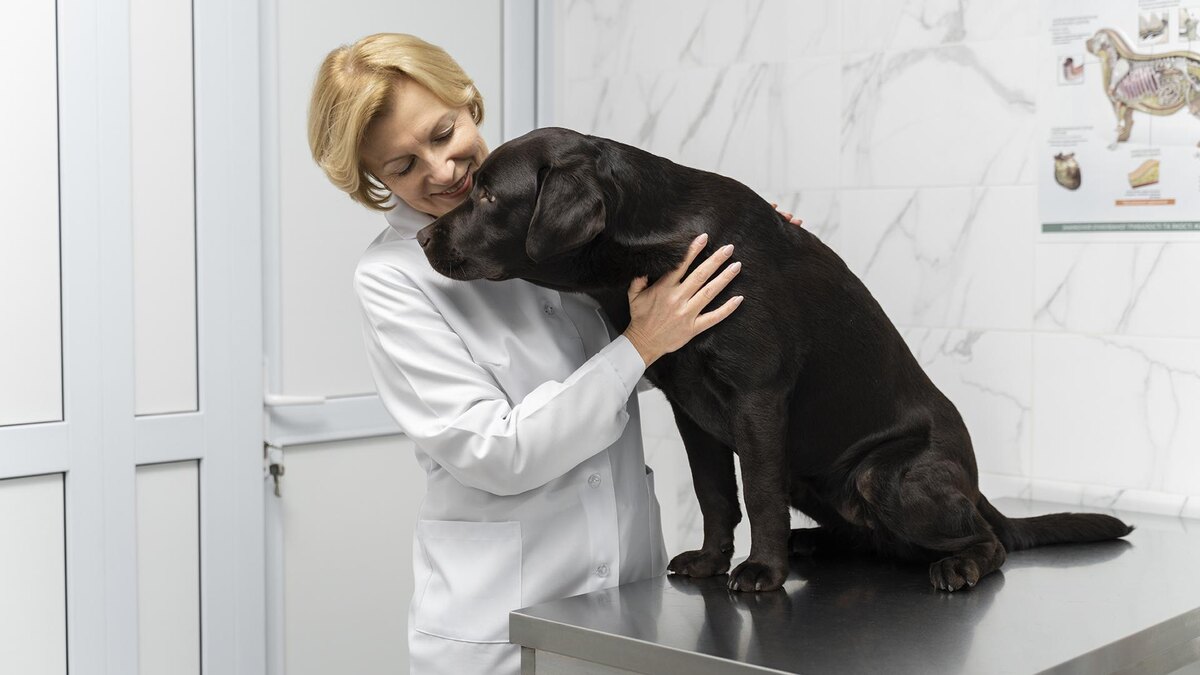 Фото: freepik.com