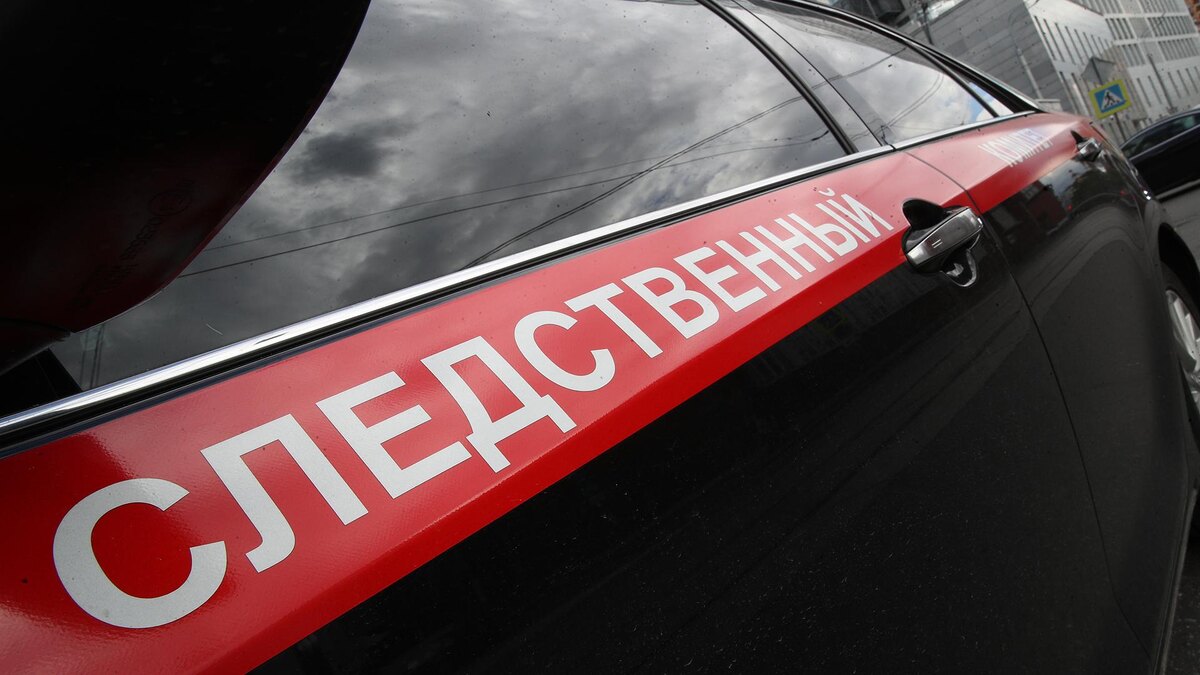    Фото: ИЗВЕСТИЯ/Зураб Джавахадзе