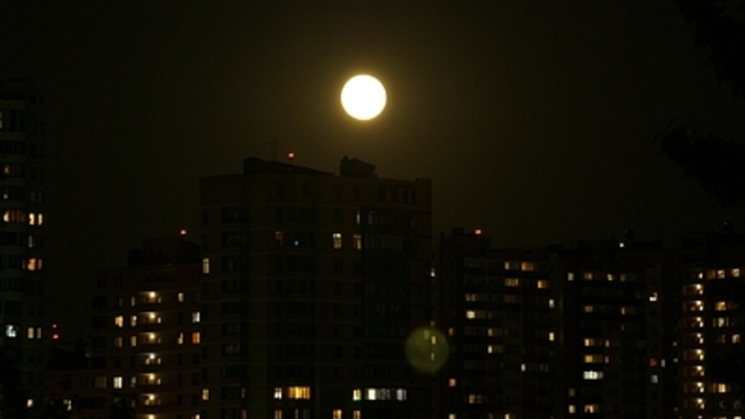    Фото: Alexander Legky/Globallookpress