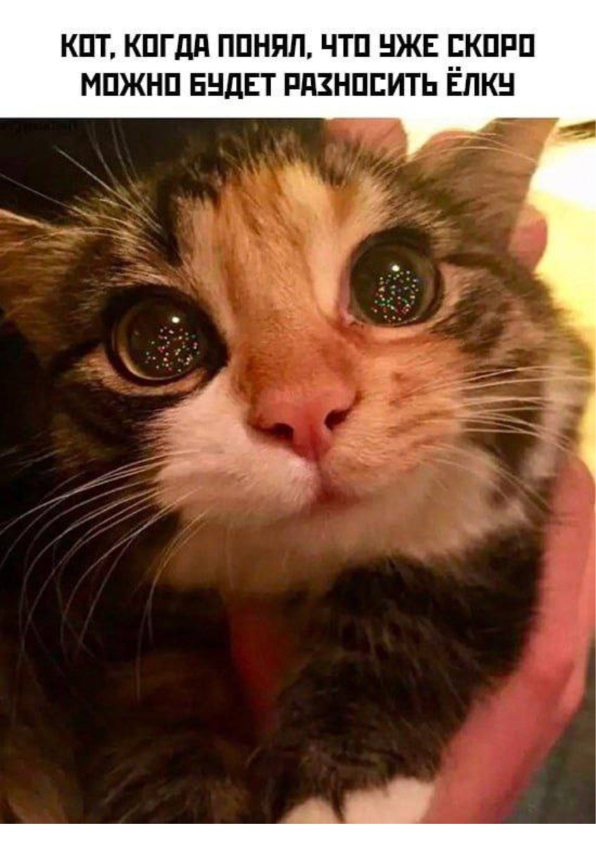 Картинка взята из открытого доступа в сети Интернет