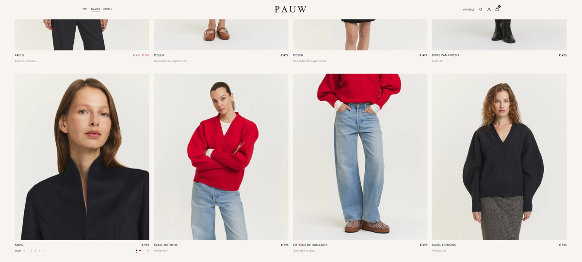 Примеры представленных фирм в интернет магазине Pauw.